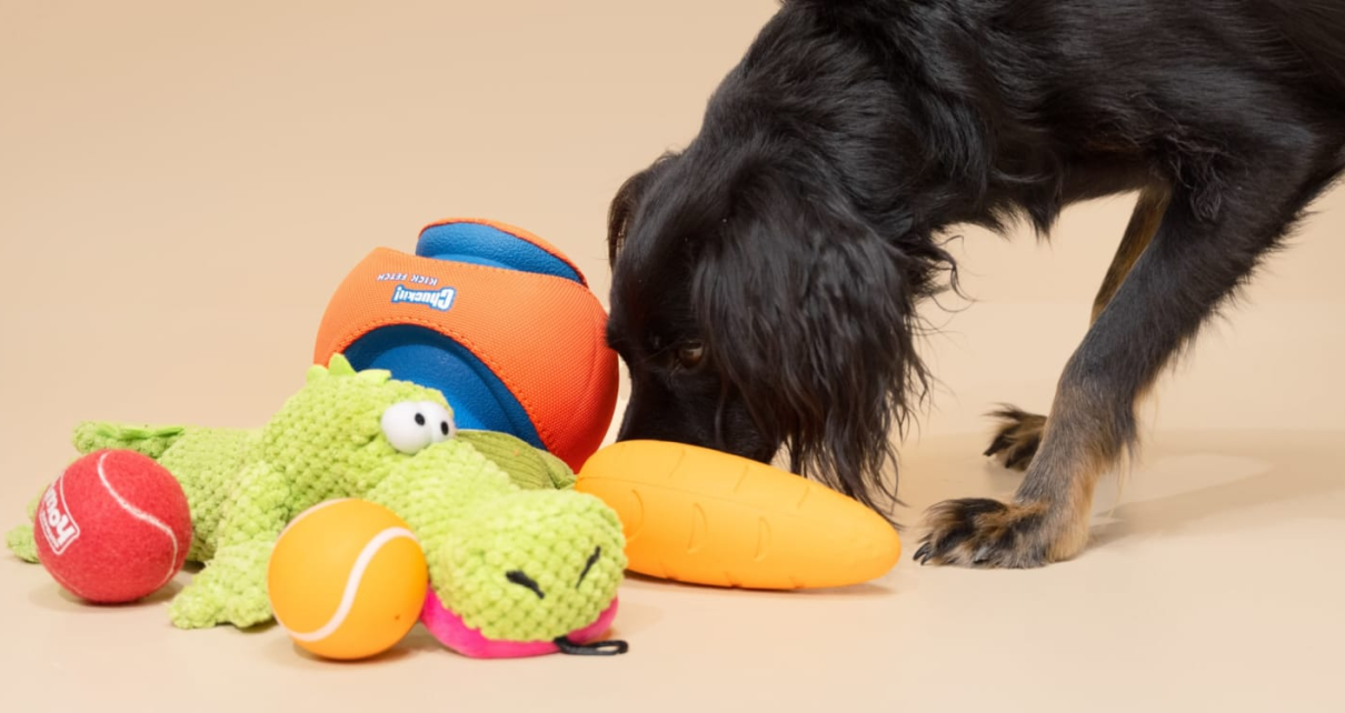 Automated Pet Toys: Perfect for Busy Pet Owners