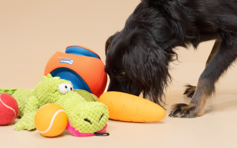 Automated Pet Toys: Perfect for Busy Pet Owners
