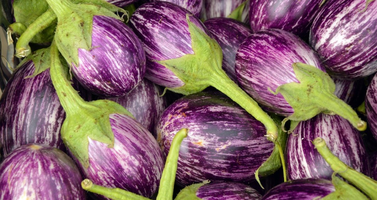 Eggplant, fruit, vegetables — Selecting Incall Escorts with Confidence: A Data-Driven Guide